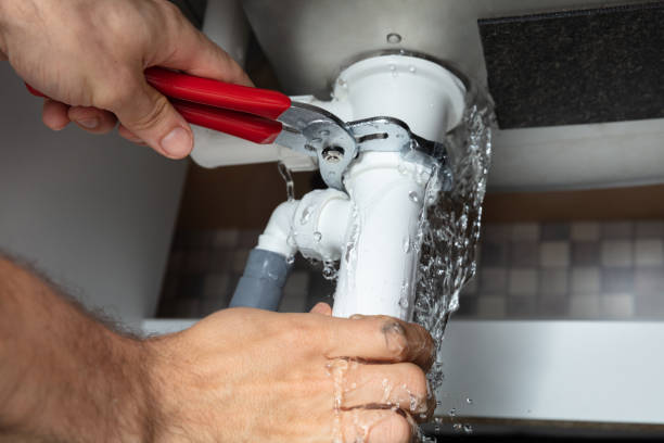 Best Fire Damage Restoration  in Novato, CA