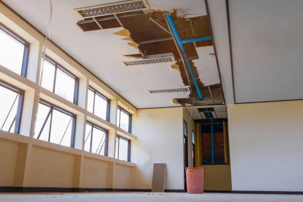 Reliable Novato, CA Water damage restoration Solutions