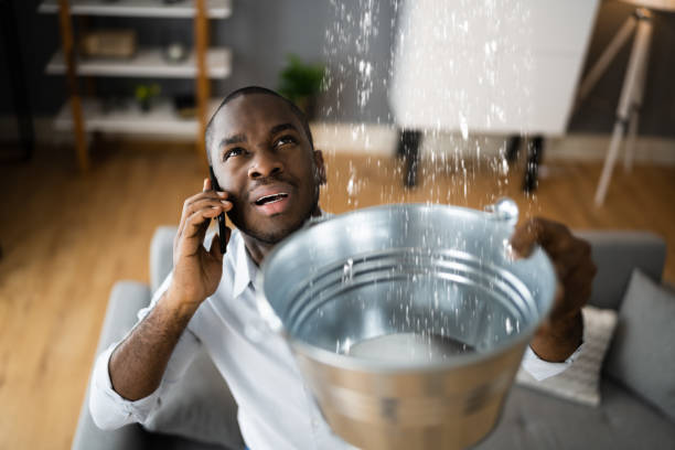 Best Commercial water damage restoration  in Novato, CA