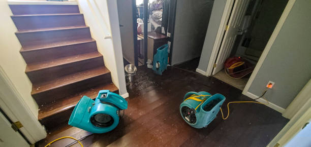 Local water damage restoration in Novato, CA
