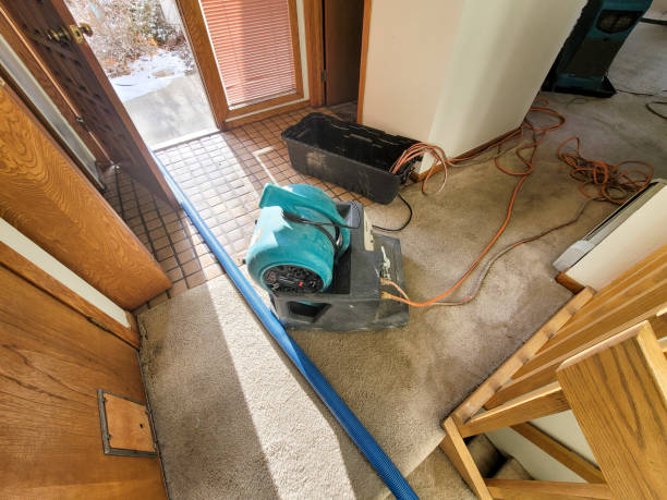Best Water damage mitigation services  in Novato, CA
