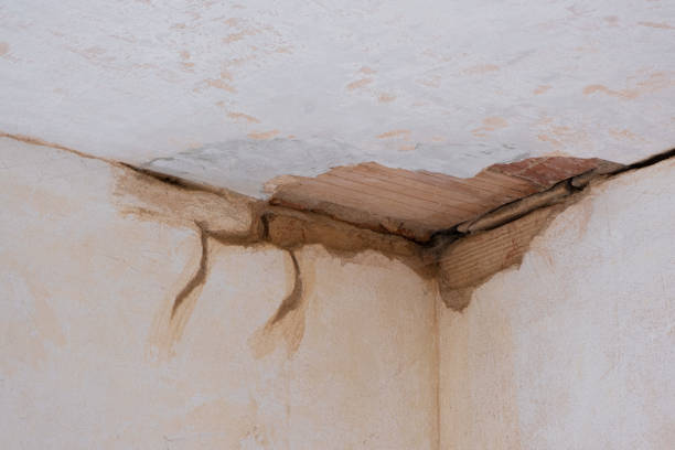Best Water damage restoration near me  in Novato, CA