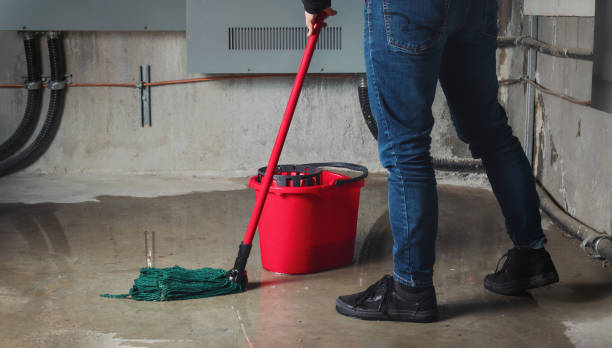 Best Basement water damage restoration  in Novato, CA