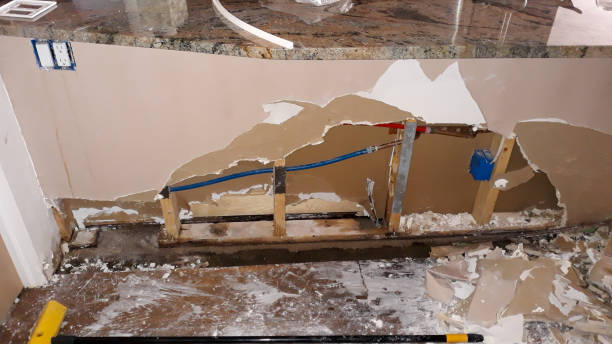 Best Flood damage cleanup  in Novato, CA