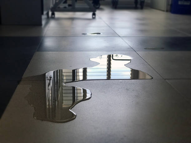Best Water damage contractors near me  in Novato, CA
