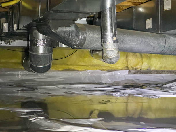Best Water damage cleanup near me  in Novato, CA