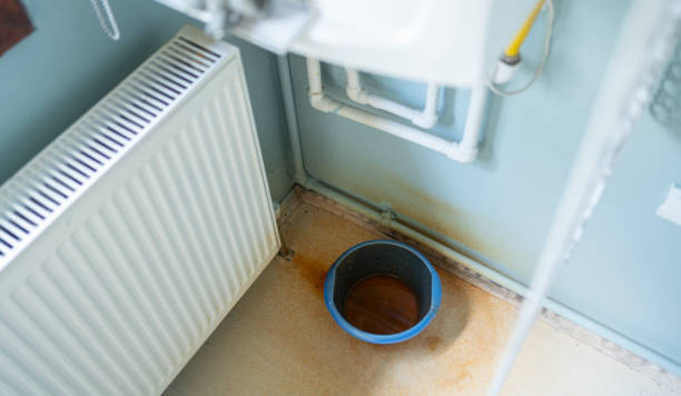 Best Professional water damage repair  in Novato, CA