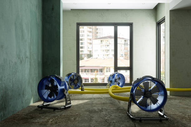 Best 24-hour water damage restoration  in Novato, CA